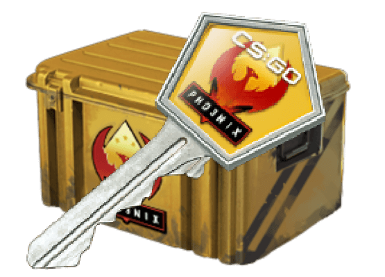 凤凰大行动武器箱（10个一组）